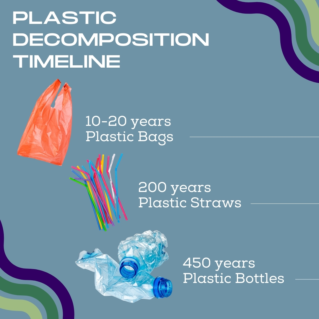 The Slow Breakdown: How Long Does Plastic Really Take to Decompose?